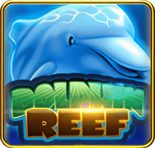 Dolphin Reef