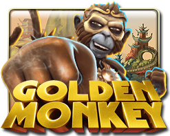 Golden Monkey