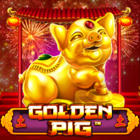 Golden Pig