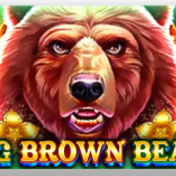 Big Brown Bear